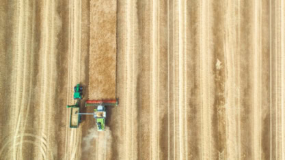 Aerial view of two tractors harvesting a golden wheat field—illustrates precision of Big Data Harvest.