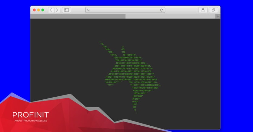 A web browser window displays binary code arranged in the shape of a unicorn, symbolizing how DSaaS empowers business thrive. Profinit logo.