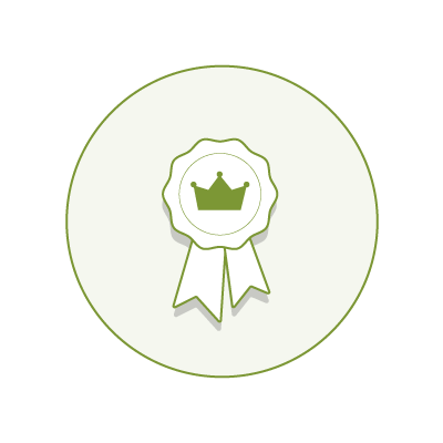 validity of big data icon profinit